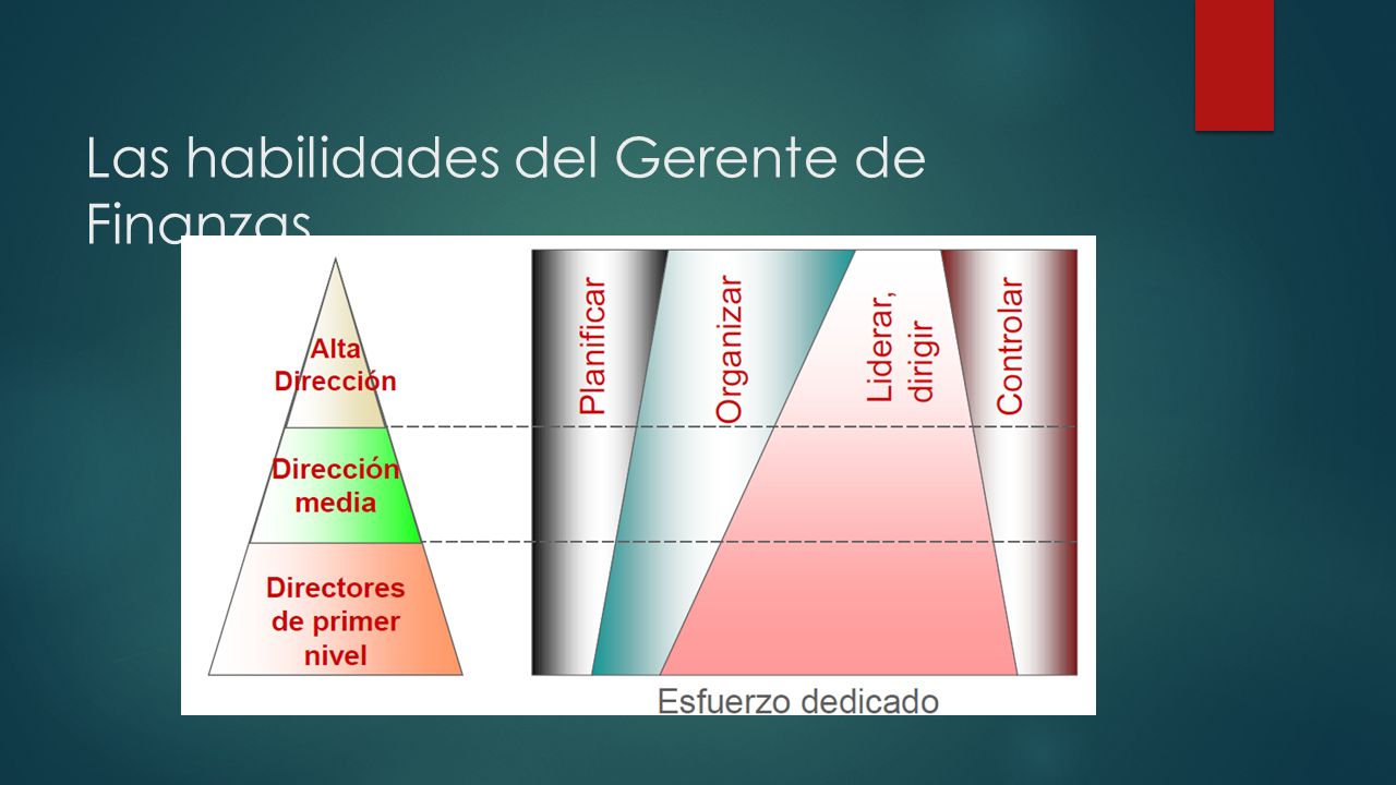 Papel Del Director Financiero El Rol Del Gerente De Finanzas Perfil