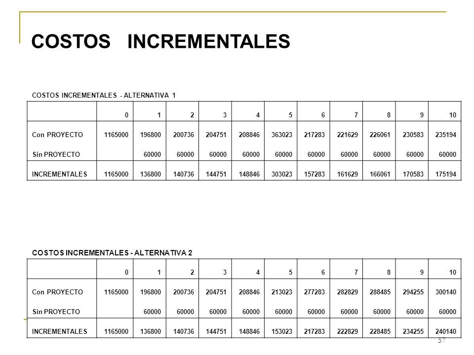 1 MÓDULO DE FORMULACION DE PROYECTOS DE INVERSIÒN ppt descargar