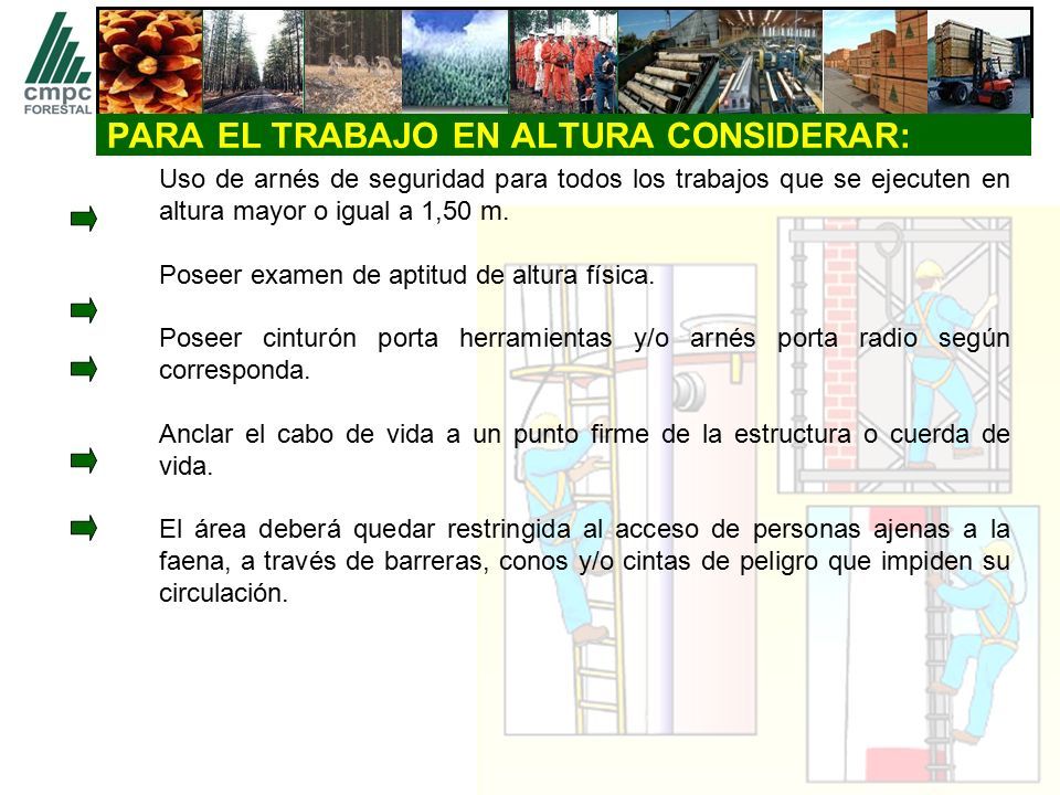 TALLER INSTRUCTIVO TRABAJO EN ALTURA QUE ES TRABAJO EN ALTURA