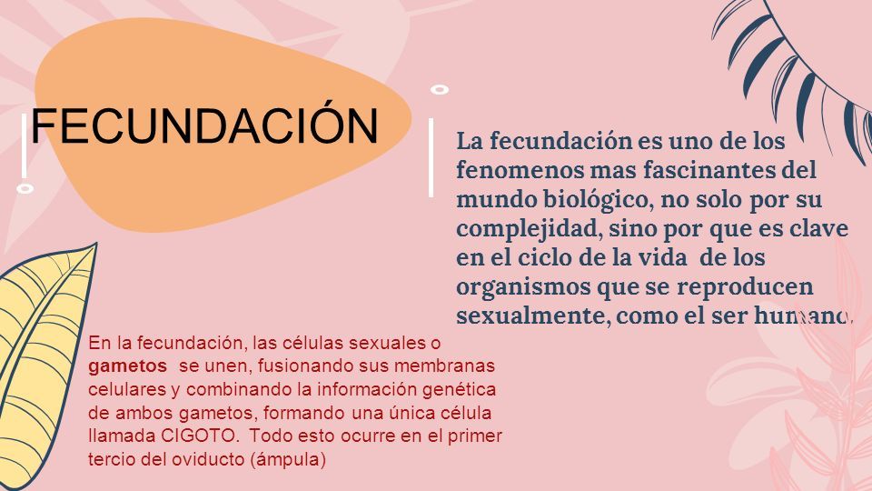 Unidad Biolog A Sexualidad Y Autocuidado Escuela M Xico De Michoac N