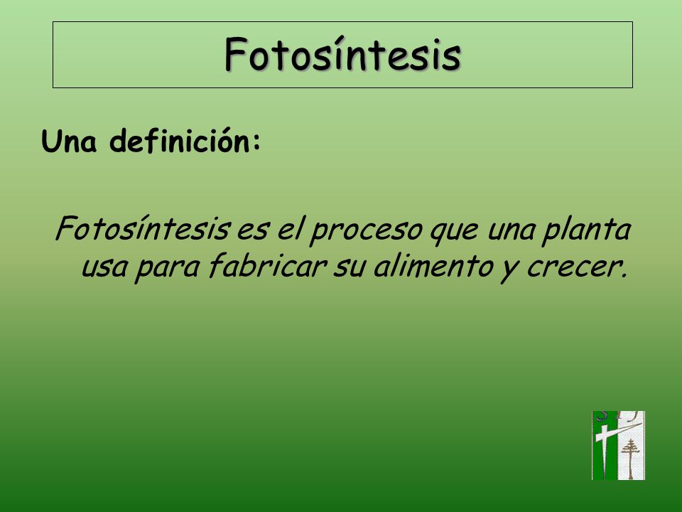 Resultado de imagen de definición de fotosíntesis en las plantas