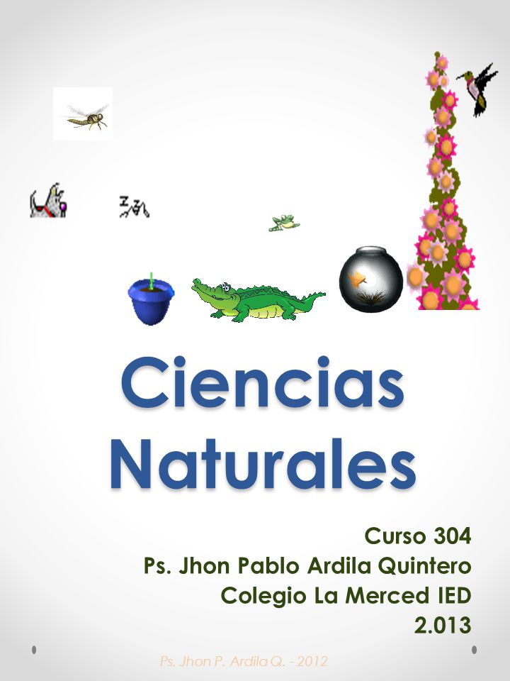 Ps. Jhon P. Ardila Q Ciencias Naturales Curso 304 Ps.