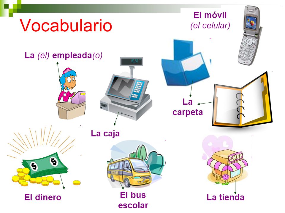 Vocabulario La (el) empleada(o) La caja La carpeta El dinero El bus escolar La tienda El móvil (el celular)