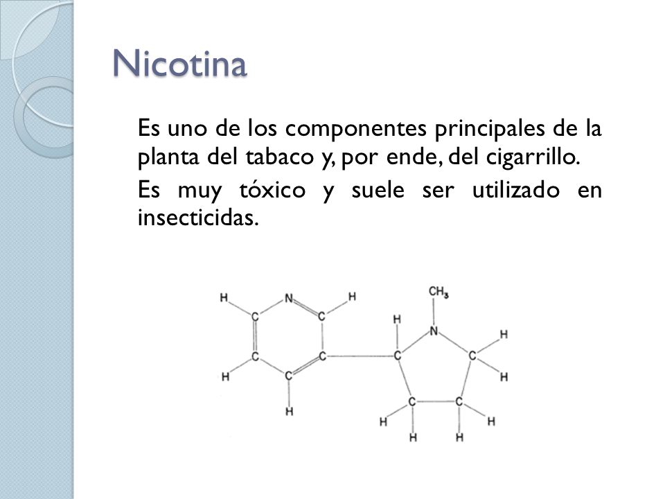 Nicotina Es uno de los componentes principales de la planta del tabaco y, por ende, del cigarrillo.