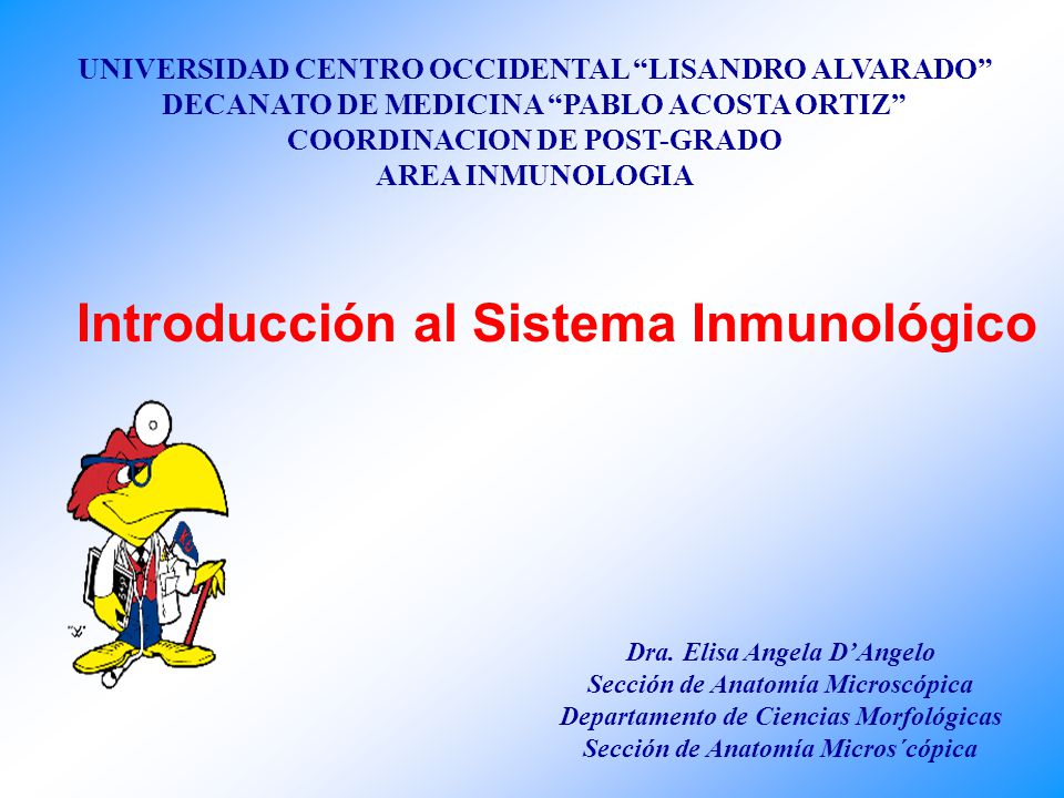 UNIVERSIDAD CARABOBO AREA POST GRADO universidad carabobo area post grado: