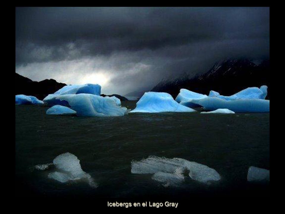 Glaciar Gray
