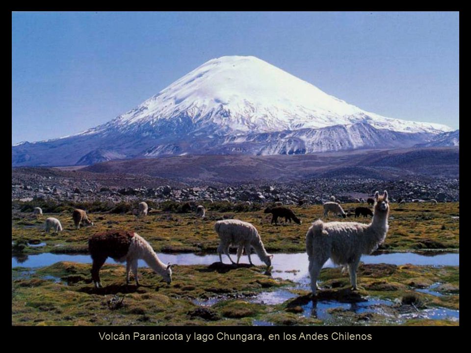 Valle de Lluta, Extremo Norte de Chile