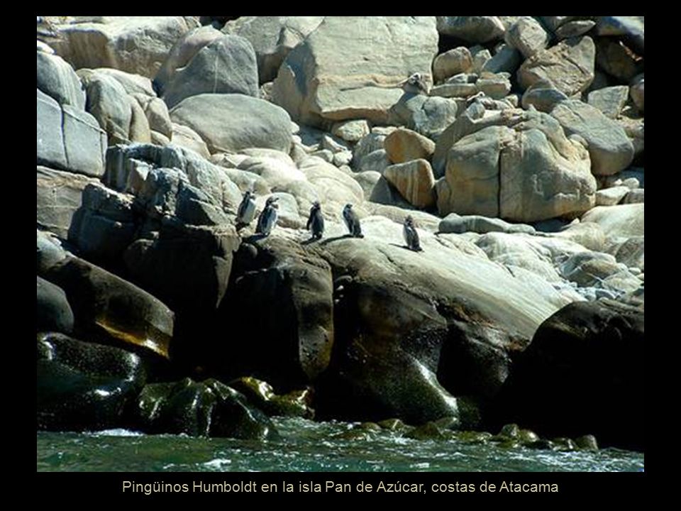 La Portada, arco natural en las costas de Antofagasta