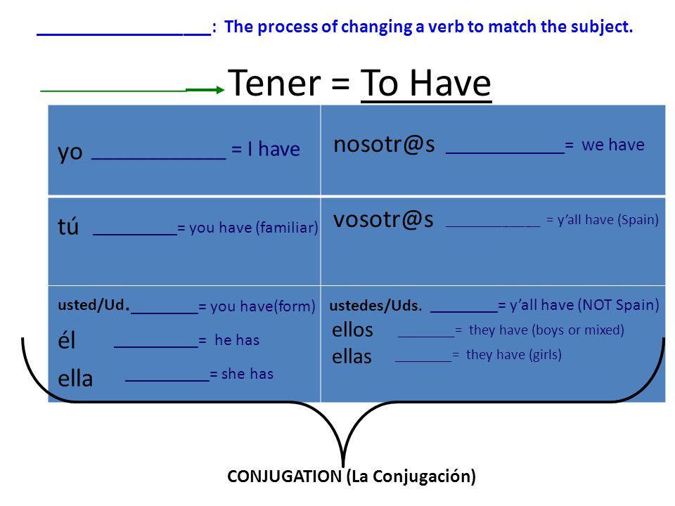 Tener = To Have yo tú usted/Ud.