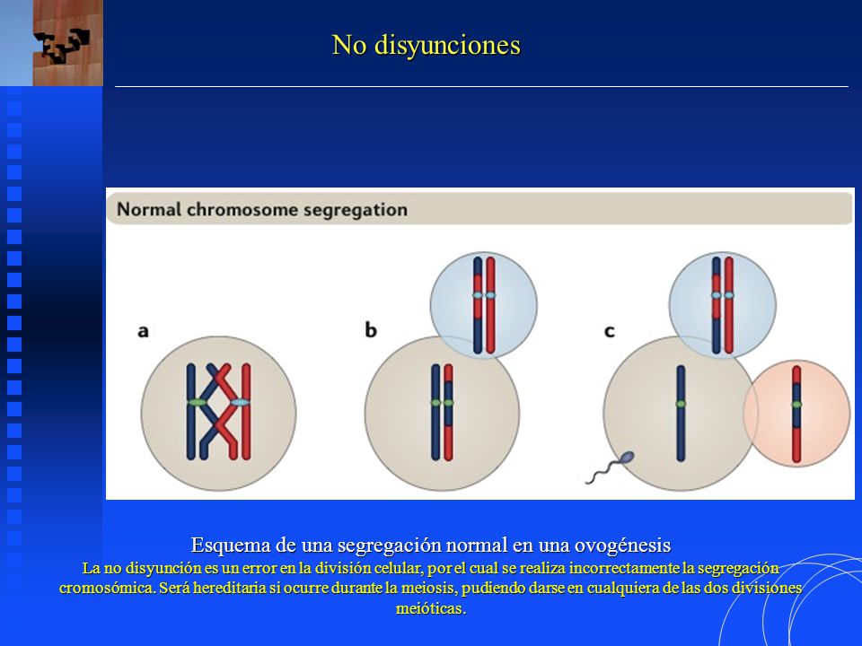 VARIACION NO HEREDITARIA variacion no hereditaria: