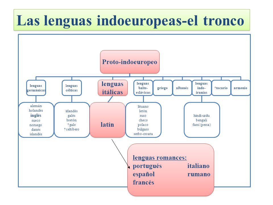LENGUA ITALICAS lengua italicas: