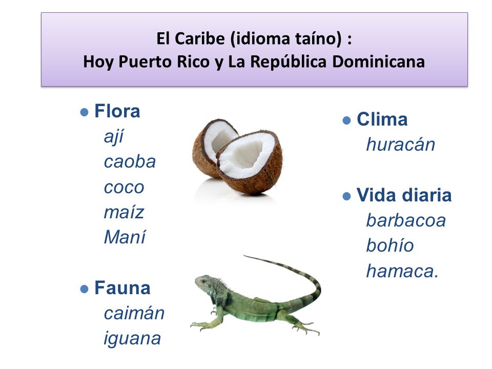 HISTORIA DE LA LENGUA ESPANOLA EN REPUBLICA DOMINICANA historia de la lengua espanola en republica dominicana: