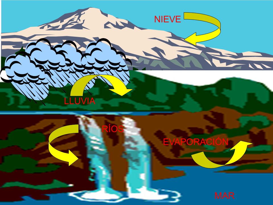 CICLO DEL AGUA El agua cumple un ciclo continuo sobre la Tierra.