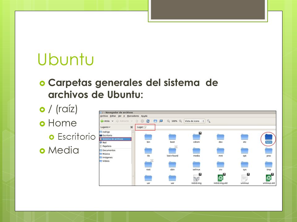 Ubuntu  Carpetas generales del sistema de archivos de Ubuntu:  / (raíz)  Home  Escritorio  Media