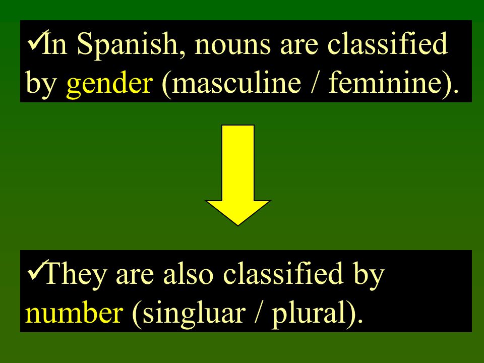 In Spanish, nouns are classified by gender (masculine / feminine).