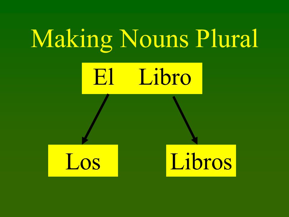 Making Nouns Plural El Libro LosLibros