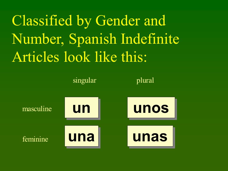 singularplural masculine feminine un una unos unas Classified by Gender and Number, Spanish Indefinite Articles look like this: