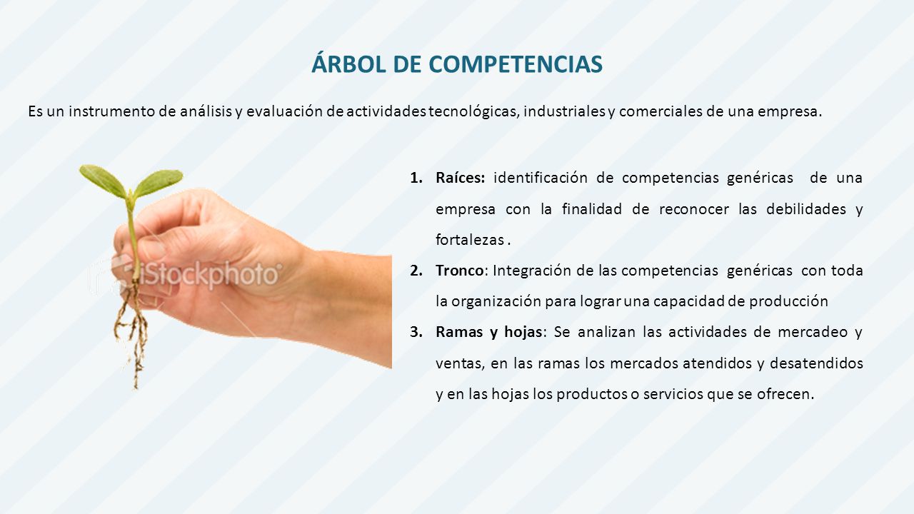 ÁRBOL DE COMPETENCIAS Es un instrumento de análisis y evaluación de actividades tecnológicas, industriales y comerciales de una empresa.