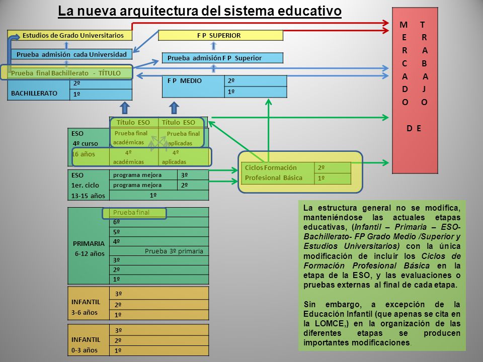 LEY ORGANICA 13 2003 ley organica 13 2003: