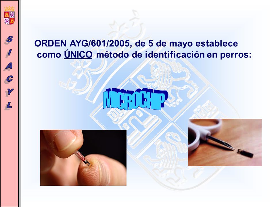 LEY 5 2005 DE 24 DE MAYO CASTILLA Y ley 5 2005 de 24 de mayo castilla y: