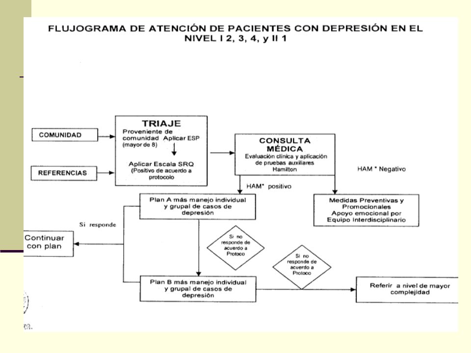 Instrumentos de Detección y Evaluación de la Depresión Ps Luz Aragonés