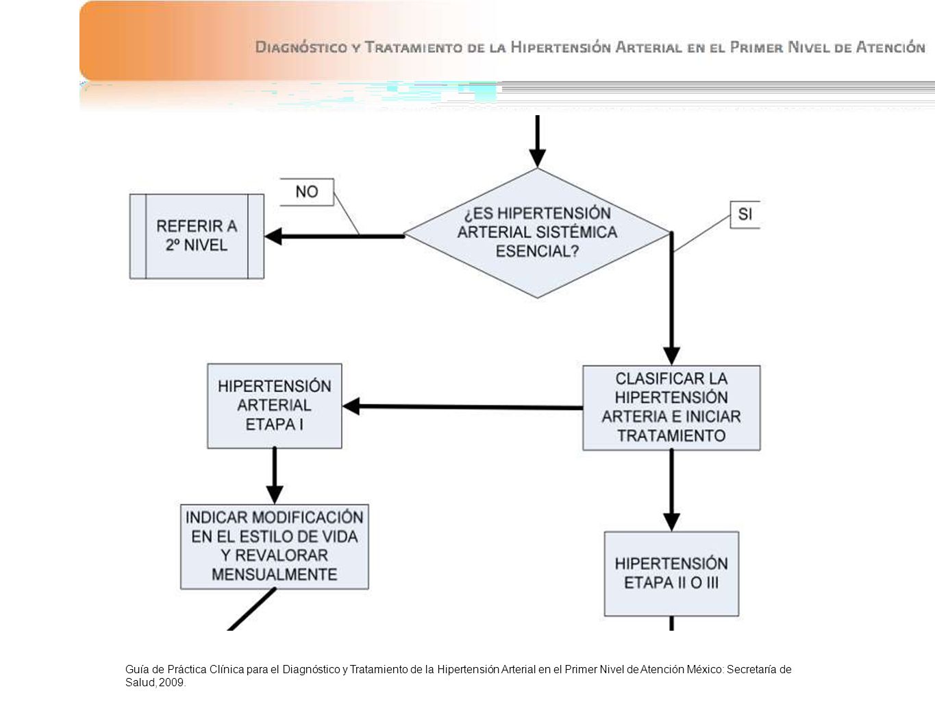 Diagnóstico y Tratamiento de la HIPERTENSIÓN ARTERIAL en el primer