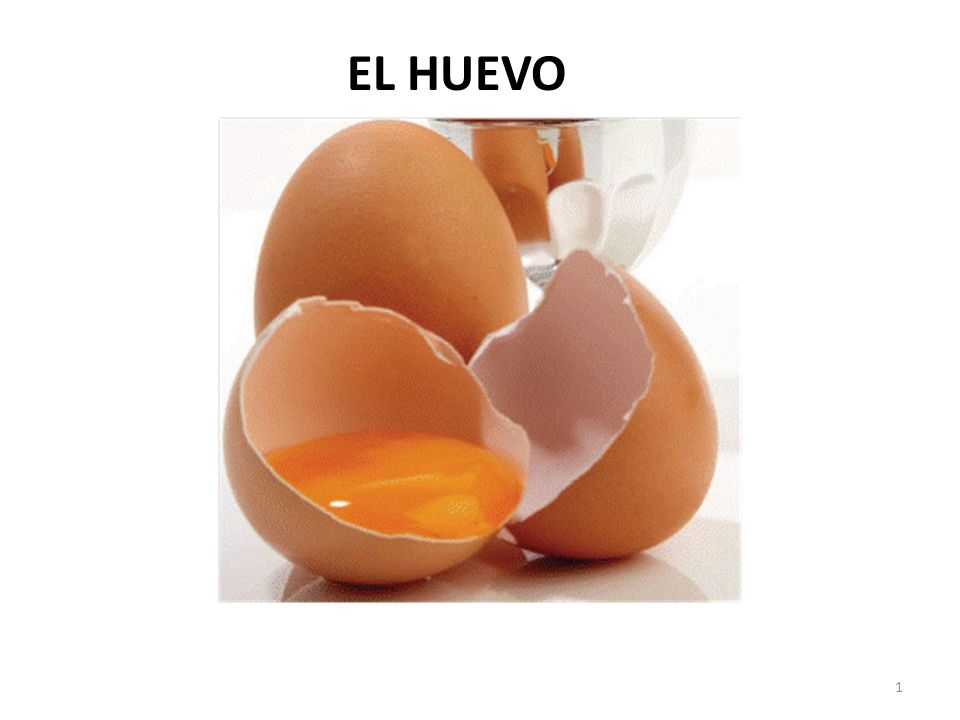 El Huevo Consumo Per C Pita Kg Persona A O De Huevos En Varios Pa Ses