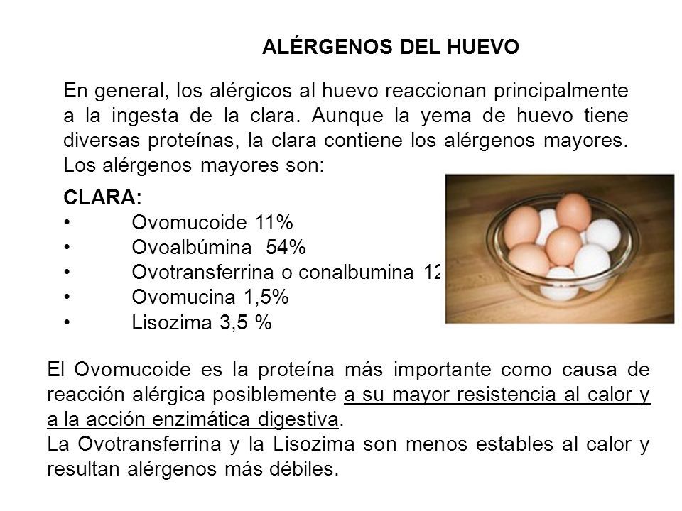 El Huevo Consumo Per C Pita Kg Persona A O De Huevos En Varios Pa Ses