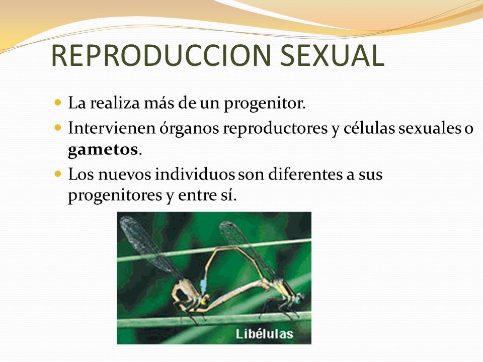 Sexual y Asexual Objetivos Diferenciar Reproducción Asexual y Sexual