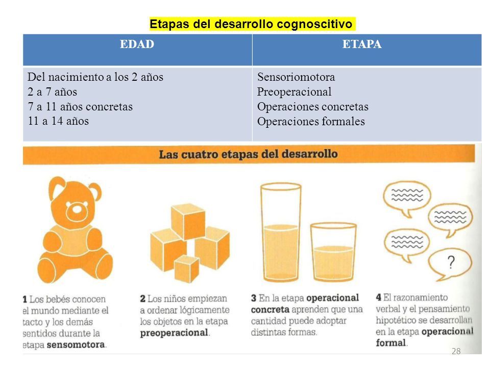 Psicolog A Del Desarrollo Humano Bachillerato En Teolog A Edilberto