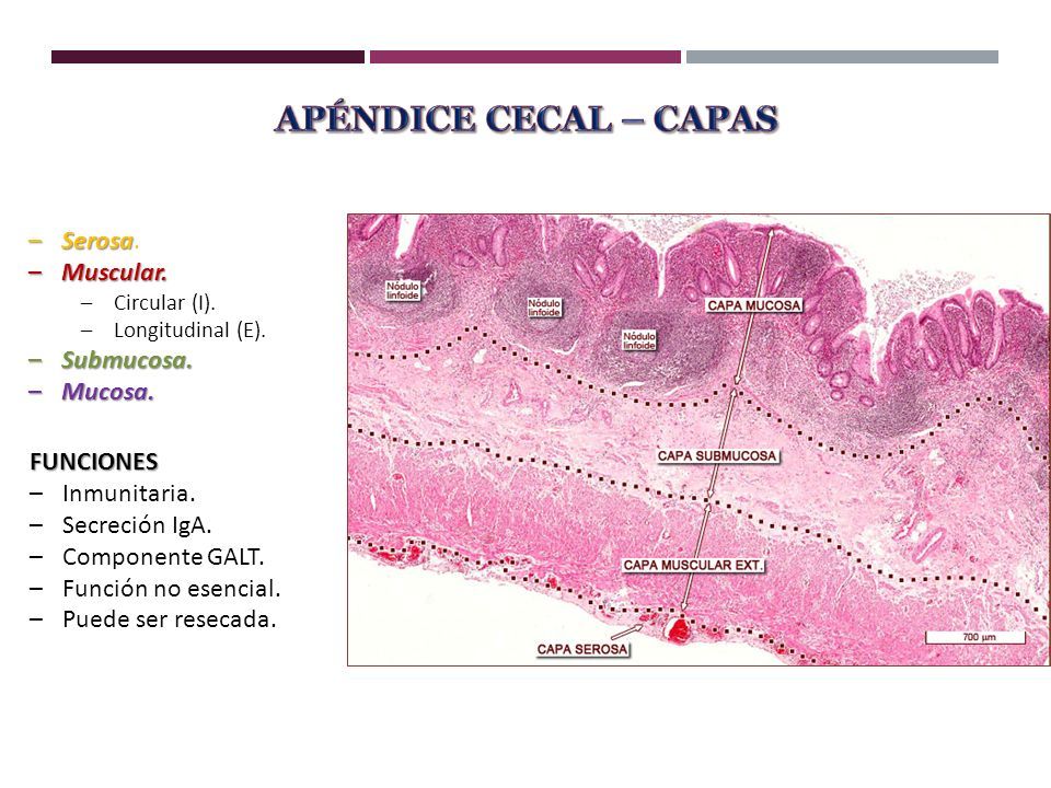 M C Carlos Javier Mego Silva Especialista En Cirug A General Cmp Rne