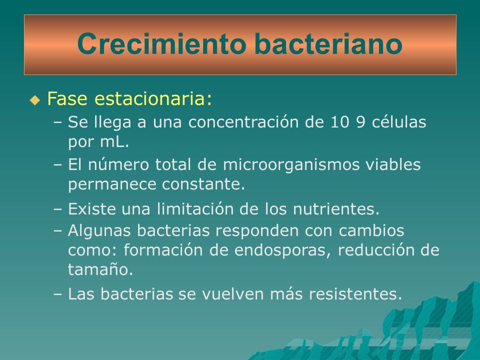 Fisiolog A Microbiana Objetivos Conocer Los Requerimientos