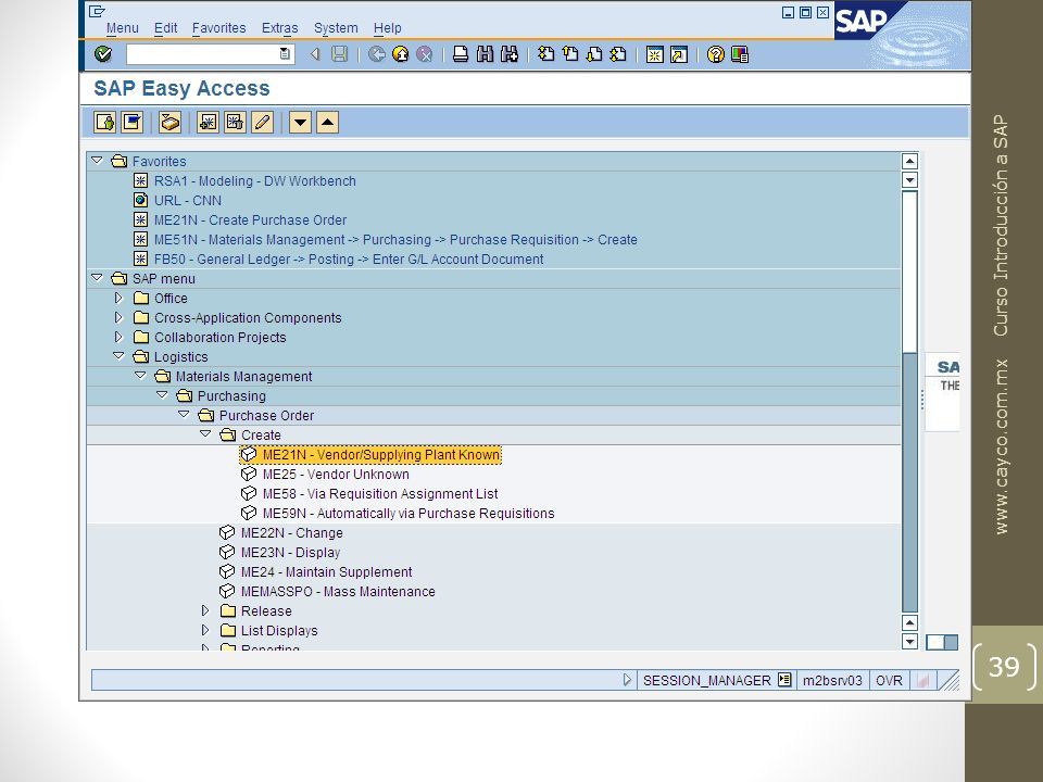 Sap Erp Curso B Sico De Sap Ppt Descargar