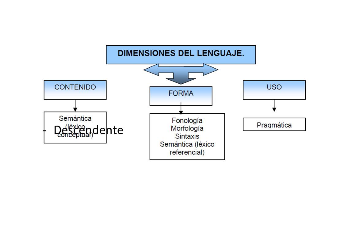 Intervenci N Del Lenguaje Oral Niveles L Xico Sem Ntico Y Pragm Tico