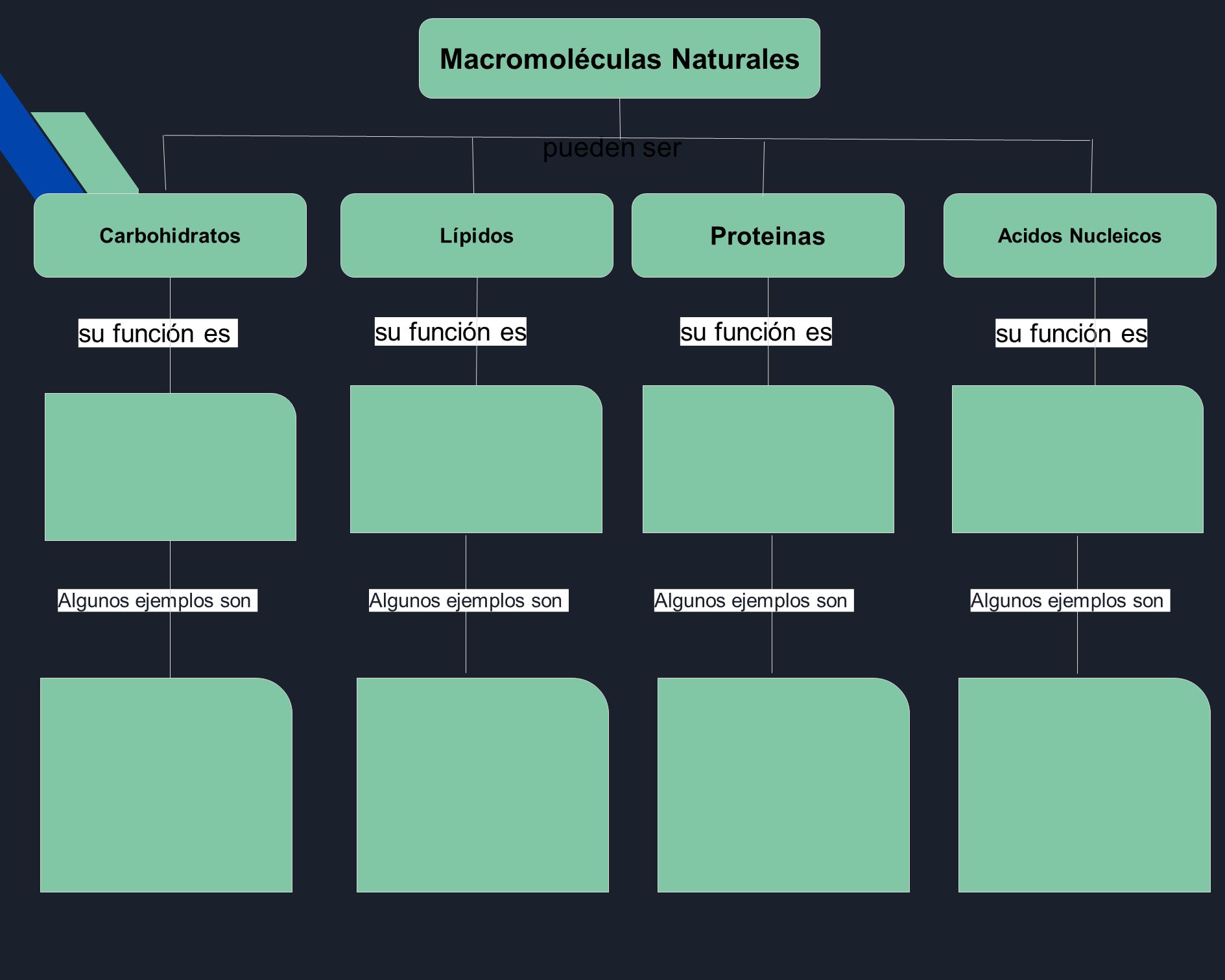 Mapa Conceptual De Macromoléculas