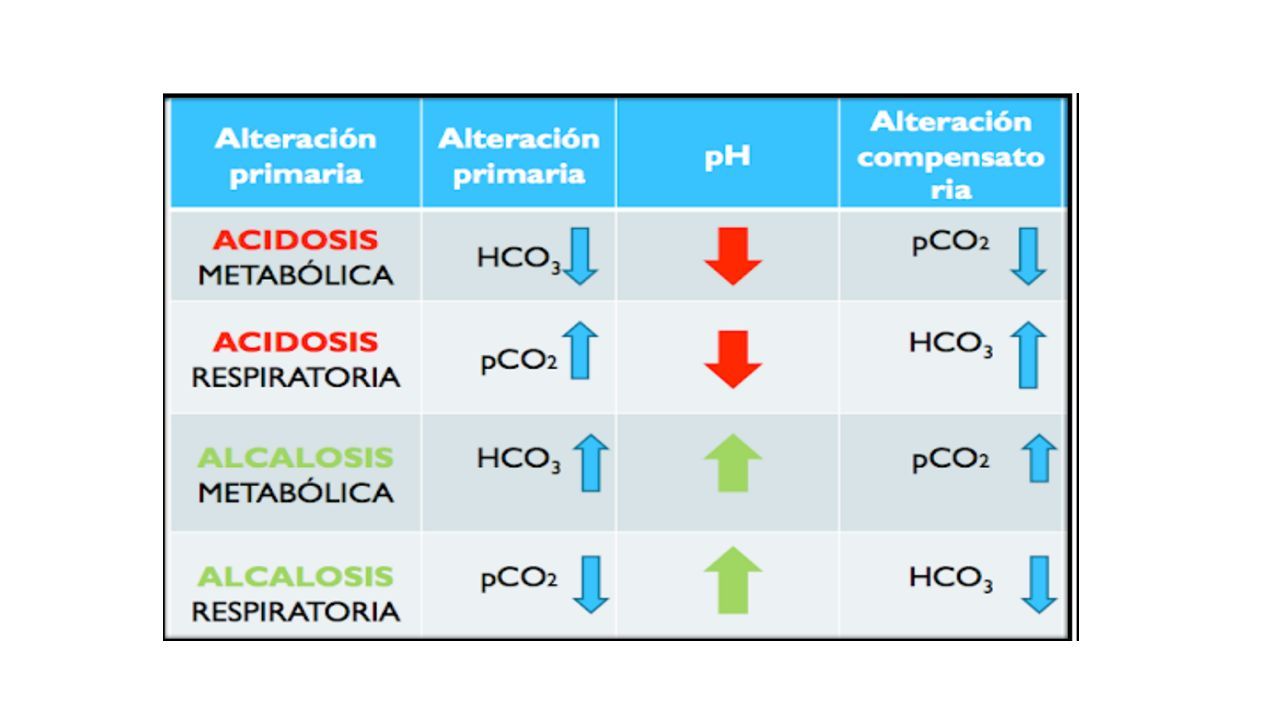 APARATO RESPIRATORIO Regulacion de la respiración Acidosis y alcalosis