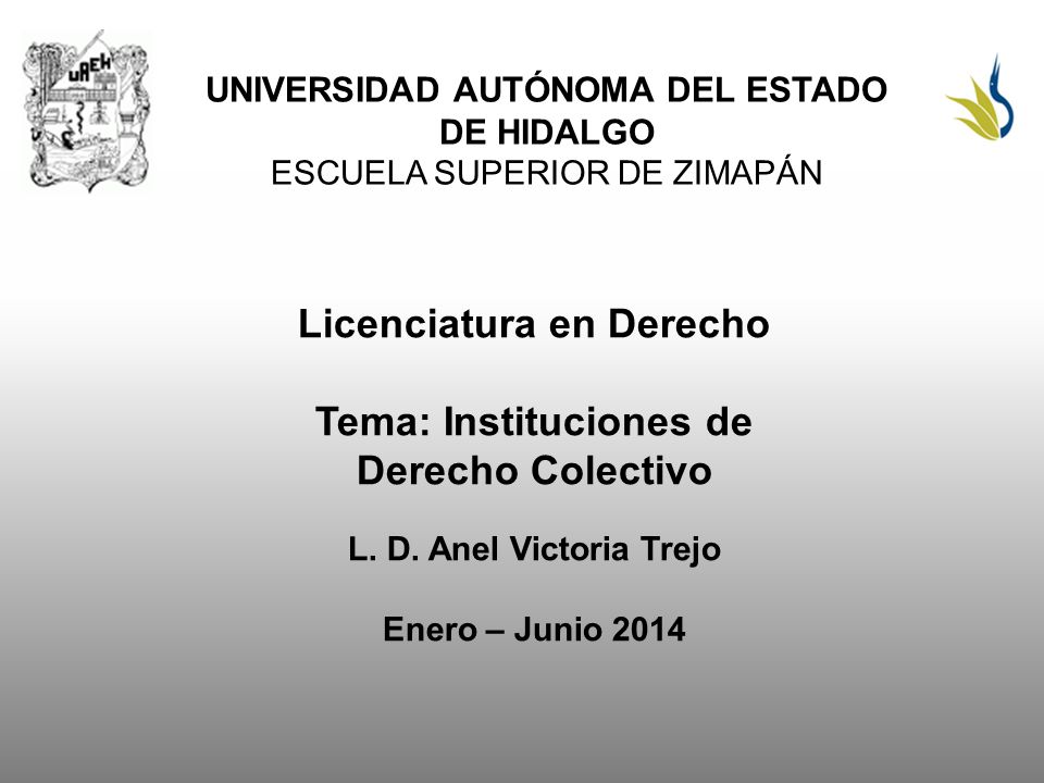 UNIVERSIDAD AUTÓNOMA DEL ESTADO DE HIDALGO ESCUELA SUPERIOR DE ZIMAPÁN Licenciatura en Derecho Tema: Instituciones de Derecho Colectivo L.