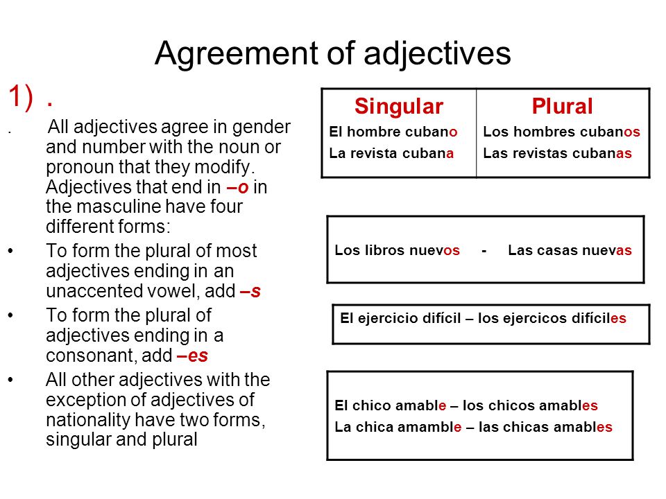 Agreement of adjectives 1)..