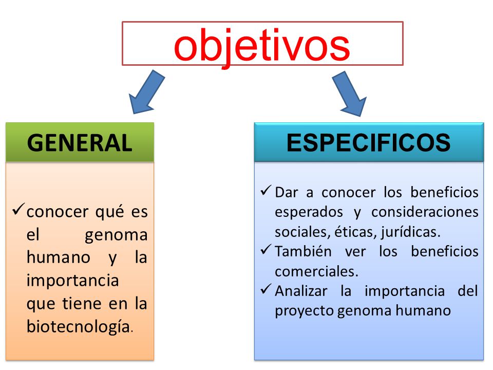 IMPORTANCIA DE LA BIOTECNOLOGIA importancia de la biotecnologia: