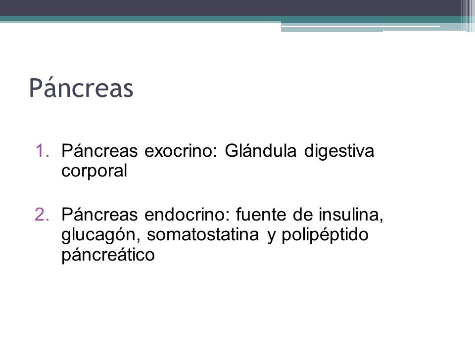 ISLOTES LANGHERHANS PANCREAS islotes langherhans pancreas: