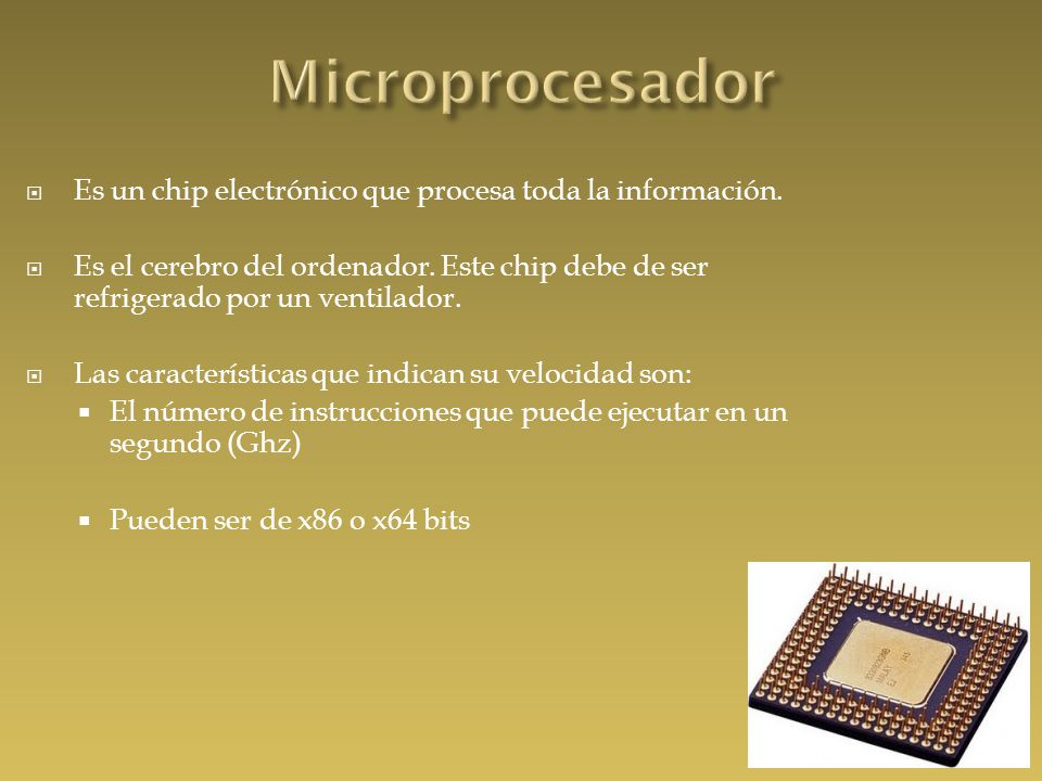  Es un chip electrónico que procesa toda la información.