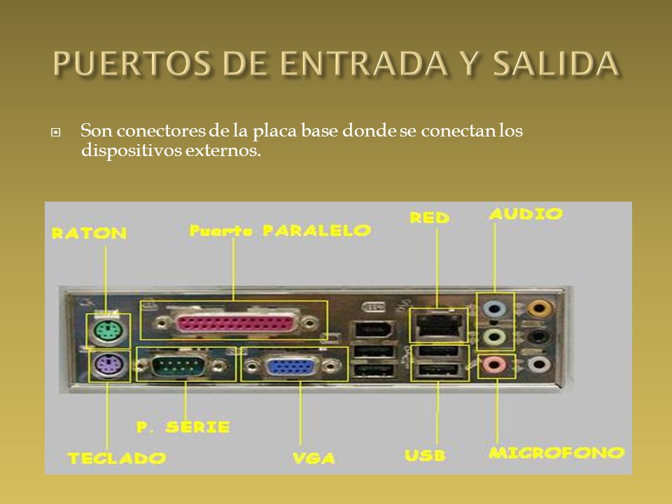  Son conectores de la placa base donde se conectan los dispositivos externos.