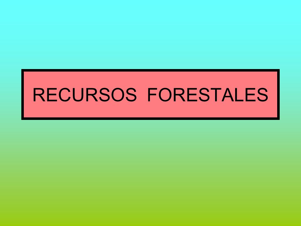 RECURSOS FORESTALES