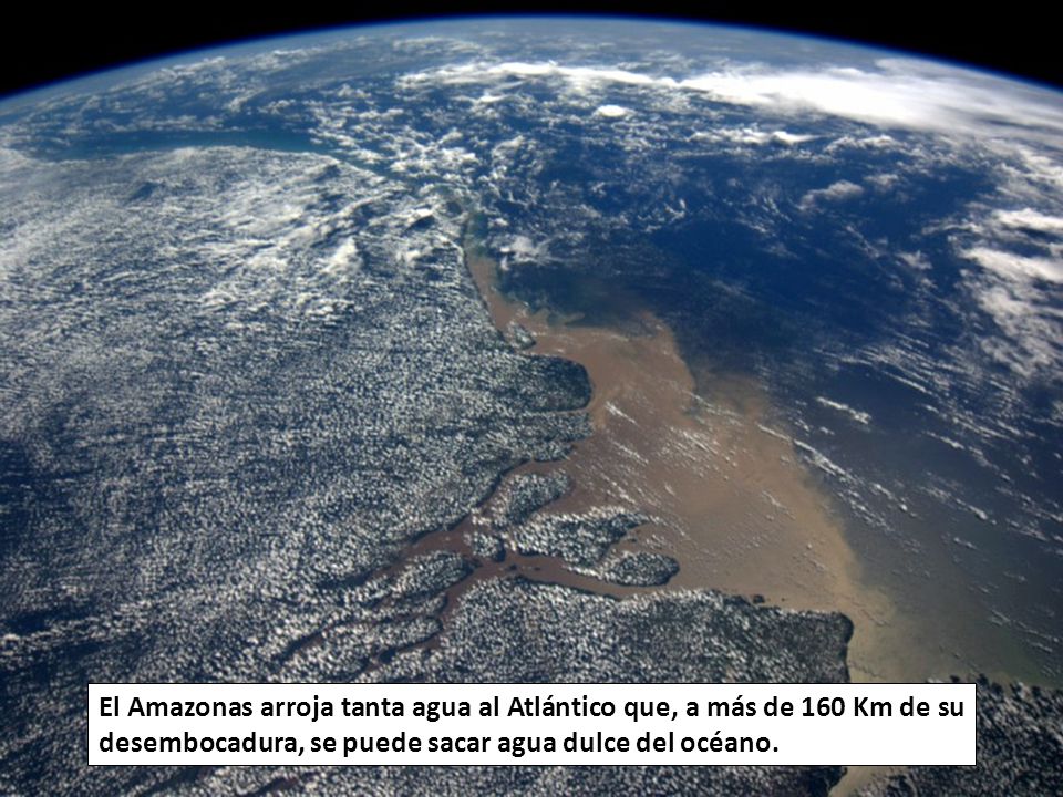 La selva del Amazonas aporta más del 20% del suministro de oxígeno a la Tierra.
