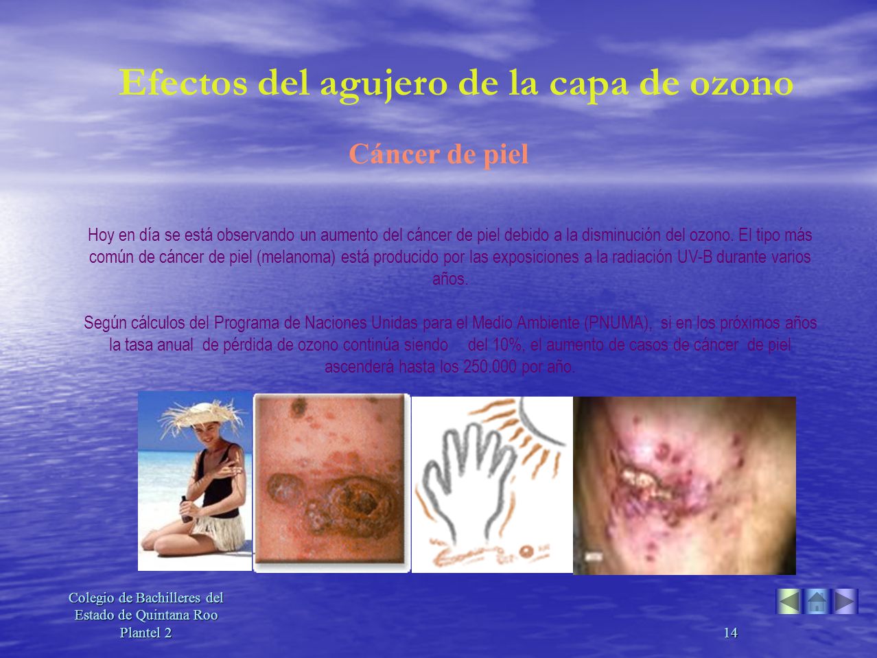 COLEGIO DE BACHILLERES PLANTEL 21 colegio de bachilleres plantel 21: