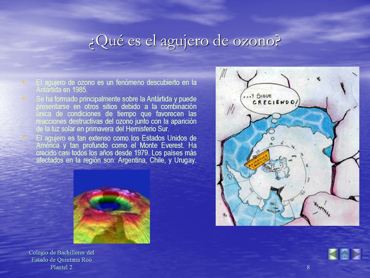 COLEGIO DE BACHILLERES PLANTEL 21 colegio de bachilleres plantel 21: