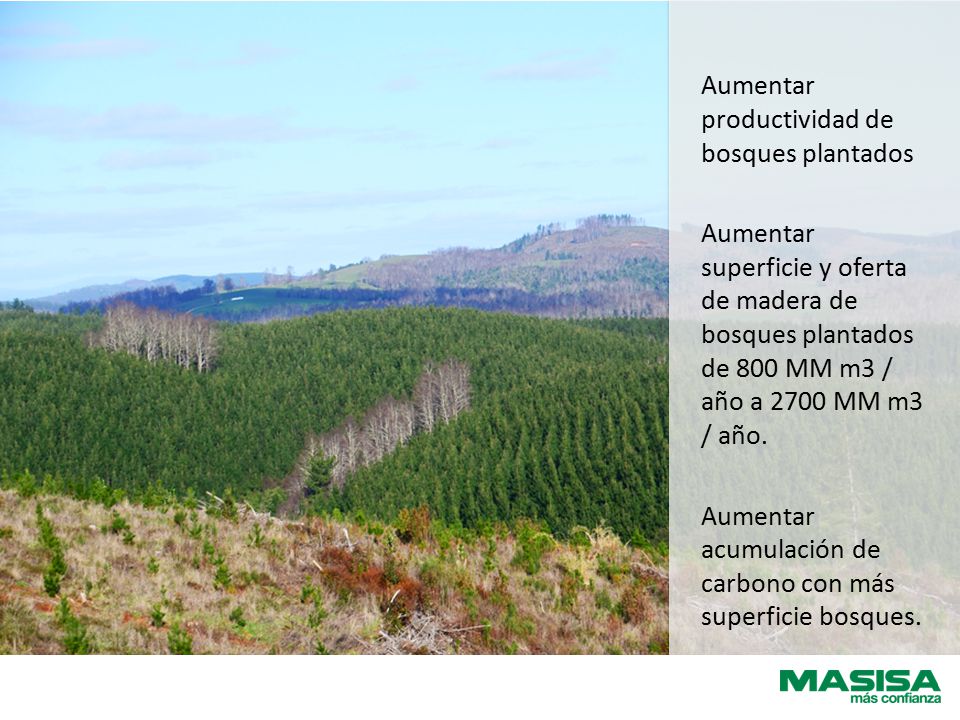 Aumentar productividad de bosques plantados Aumentar superficie y oferta de madera de bosques plantados de 800 MM m3 / año a 2700 MM m3 / año.