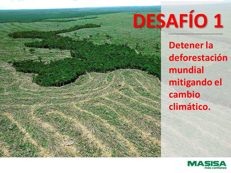Detener la deforestación mundial mitigando el cambio climático. DESAFÍO 1