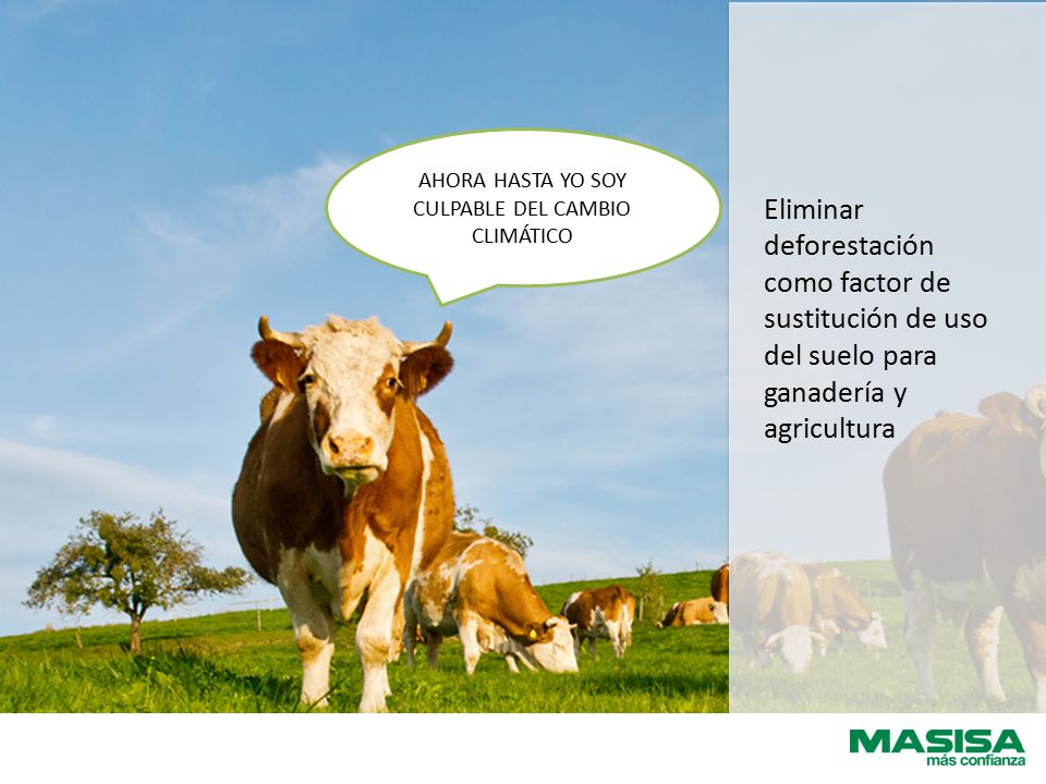 Eliminar deforestación como factor de sustitución de uso del suelo para ganadería y agricultura AHORA HASTA YO SOY CULPABLE DEL CAMBIO CLIMÁTICO