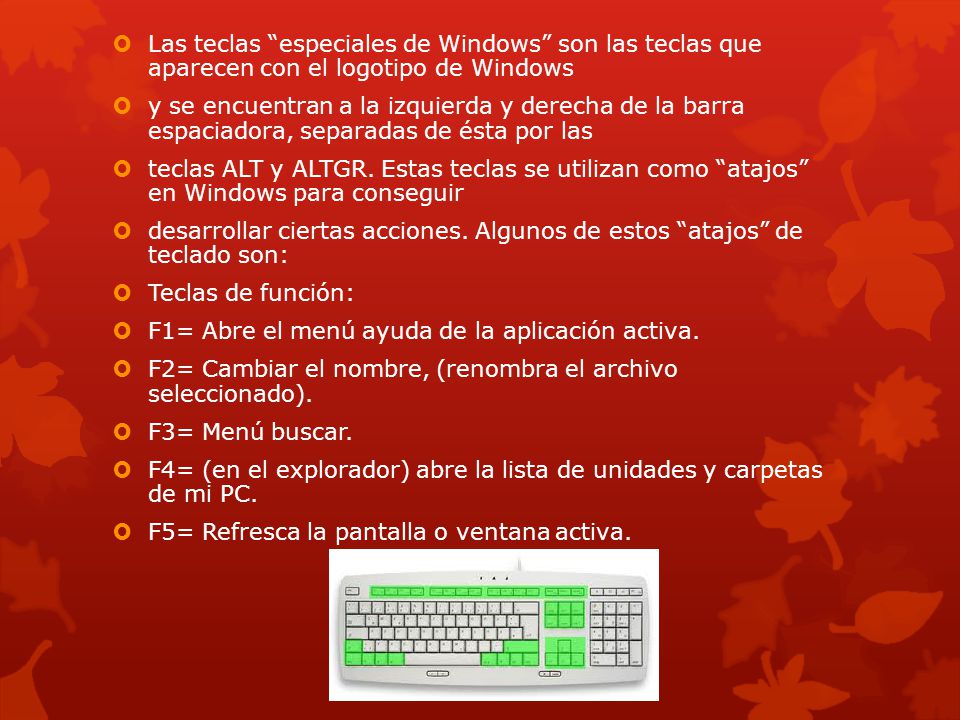  Las teclas especiales de Windows son las teclas que aparecen con el logotipo de Windows  y se encuentran a la izquierda y derecha de la barra espaciadora, separadas de ésta por las  teclas ALT y ALTGR.